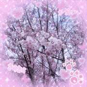 ヒメ日記 2026/03/30 12:04 投稿 守山きよみ 人妻家 古河・小山店