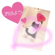 ヒメ日記 2025/05/21 08:12 投稿 陽子さん プレミア奥様（プレミアマダム）