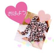 ヒメ日記 2025/08/08 08:11 投稿 陽子さん プレミア奥様（プレミアマダム）