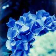 さくら奥様 久しぶりの。。。😅 人妻です