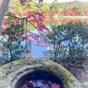 さくら奥様 おはようございます 人妻です