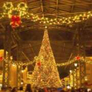 ヒメ日記 2025/12/14 18:18 投稿 あゆ 花の都～人妻の都～ 延岡店