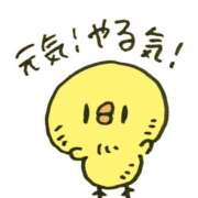 ヒメ日記 2024/12/29 18:20 投稿 しおん スピードエコ天王寺店
