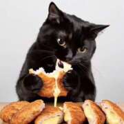 ヒメ日記 2025/05/26 18:10 投稿 しおん スピードエコ天王寺店