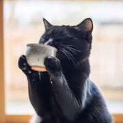 ヒメ日記 2025/06/27 16:20 投稿 しおん スピードエコ天王寺店