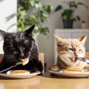 ヒメ日記 2025/09/27 15:31 投稿 しおん スピードエコ天王寺店