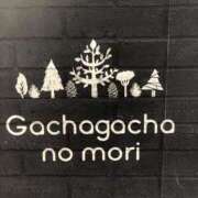 ヒメ日記 2025/10/08 19:50 投稿 しおん スピードエコ天王寺店