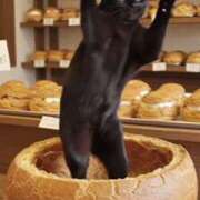 ヒメ日記 2025/11/04 15:10 投稿 しおん スピードエコ天王寺店