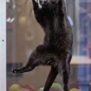 ヒメ日記 2025/11/05 15:30 投稿 しおん スピードエコ天王寺店