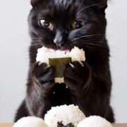 ヒメ日記 2025/11/09 15:20 投稿 しおん スピードエコ天王寺店