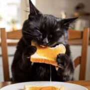 ヒメ日記 2025/11/14 16:20 投稿 しおん スピードエコ天王寺店