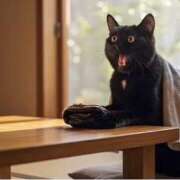 ヒメ日記 2025/11/15 16:00 投稿 しおん スピードエコ天王寺店