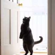 ヒメ日記 2025/11/28 19:10 投稿 しおん スピードエコ天王寺店