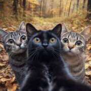 ヒメ日記 2025/12/02 16:20 投稿 しおん スピードエコ天王寺店