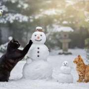 しおん しおん(エコ天王寺店) スピードエコ天王寺店