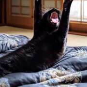 ヒメ日記 2025/12/20 15:51 投稿 しおん スピードエコ天王寺店