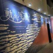 ヒメ日記 2026/01/20 18:25 投稿 しおん スピードエコ天王寺店