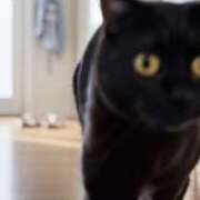 ヒメ日記 2026/01/30 15:40 投稿 しおん スピードエコ天王寺店