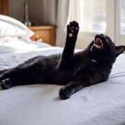 ヒメ日記 2026/02/02 15:10 投稿 しおん スピードエコ天王寺店