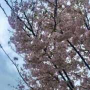 ヒメ日記 2026/04/07 12:40 投稿 しおん スピードエコ天王寺店