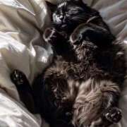 ヒメ日記 2026/04/08 13:00 投稿 しおん スピードエコ天王寺店