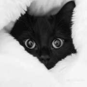 しおん しおん（エコ天王寺店） スピードエコ天王寺店