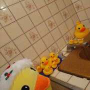 ヒメ日記 2024/12/24 14:12 投稿 レミ ヴィーナス(金津園)