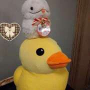 ヒメ日記 2024/12/31 21:03 投稿 レミ ヴィーナス(金津園)