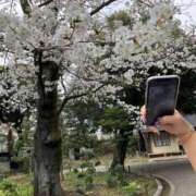 ヒメ日記 2025/04/10 12:48 投稿 レミ ヴィーナス(金津園)