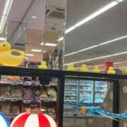 ヒメ日記 2025/09/26 19:42 投稿 レミ ヴィーナス(金津園)