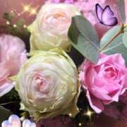 ヒメ日記 2024/12/15 05:49 投稿 徳川(とくがわ) 熟女の風俗最終章 大宮店