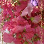 ヒメ日記 2024/12/26 07:40 投稿 徳川(とくがわ) 熟女の風俗最終章 大宮店