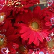 ヒメ日記 2025/01/04 06:29 投稿 徳川(とくがわ) 熟女の風俗最終章 大宮店