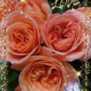 ヒメ日記 2025/01/05 06:29 投稿 徳川(とくがわ) 熟女の風俗最終章 大宮店