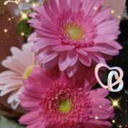 ヒメ日記 2025/03/05 05:47 投稿 徳川(とくがわ) 熟女の風俗最終章 大宮店