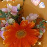 ヒメ日記 2025/03/06 05:29 投稿 徳川(とくがわ) 熟女の風俗最終章 大宮店