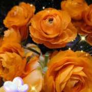 ヒメ日記 2025/03/06 05:49 投稿 徳川(とくがわ) 熟女の風俗最終章 大宮店