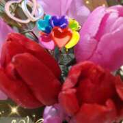 ヒメ日記 2025/03/07 06:49 投稿 徳川(とくがわ) 熟女の風俗最終章 大宮店