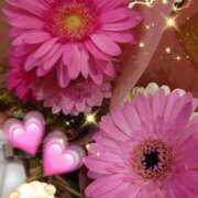 ヒメ日記 2025/03/08 06:29 投稿 徳川(とくがわ) 熟女の風俗最終章 大宮店