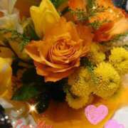 ヒメ日記 2025/03/13 05:39 投稿 徳川(とくがわ) 熟女の風俗最終章 大宮店