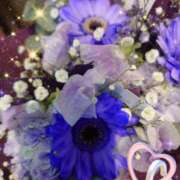 ヒメ日記 2025/03/15 05:59 投稿 徳川(とくがわ) 熟女の風俗最終章 大宮店