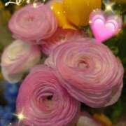 ヒメ日記 2025/03/15 17:09 投稿 徳川(とくがわ) 熟女の風俗最終章 大宮店