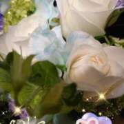 ヒメ日記 2025/03/19 05:39 投稿 徳川(とくがわ) 熟女の風俗最終章 大宮店