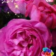 ヒメ日記 2025/03/20 05:49 投稿 徳川(とくがわ) 熟女の風俗最終章 大宮店