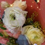 ヒメ日記 2025/03/22 05:49 投稿 徳川(とくがわ) 熟女の風俗最終章 大宮店