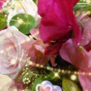 ヒメ日記 2025/03/24 06:49 投稿 徳川(とくがわ) 熟女の風俗最終章 大宮店