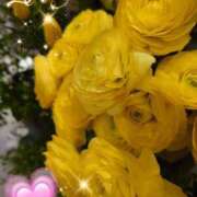 ヒメ日記 2025/03/24 07:09 投稿 徳川(とくがわ) 熟女の風俗最終章 大宮店