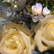 ヒメ日記 2025/03/26 06:59 投稿 徳川(とくがわ) 熟女の風俗最終章 大宮店