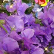 ヒメ日記 2025/03/29 06:39 投稿 徳川(とくがわ) 熟女の風俗最終章 大宮店