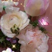 ヒメ日記 2025/03/30 08:15 投稿 徳川(とくがわ) 熟女の風俗最終章 大宮店